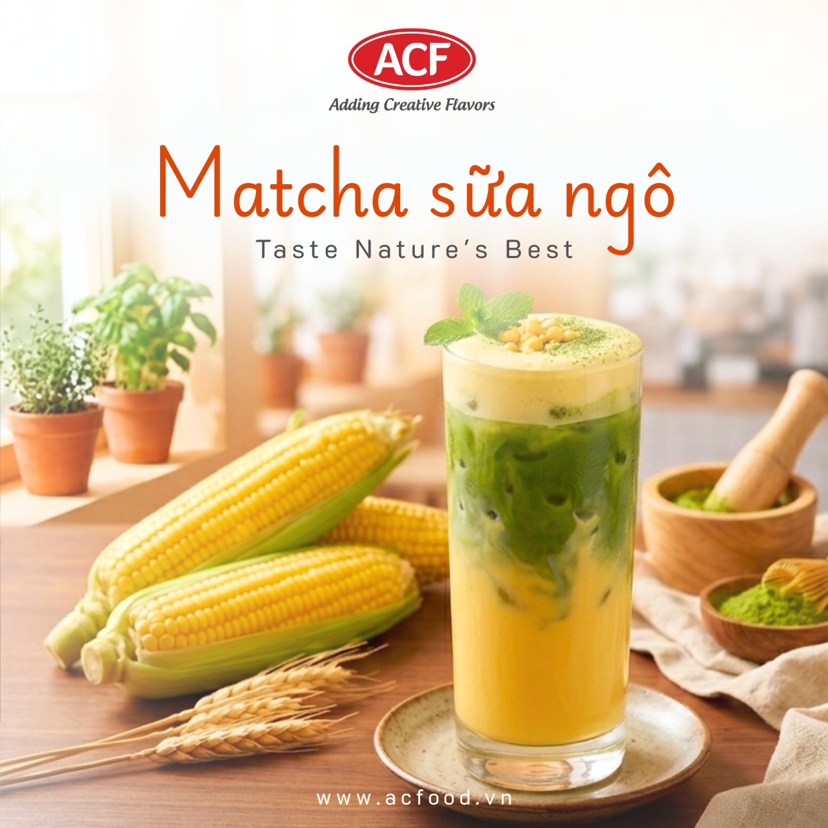 matcha sua bap